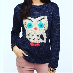 Urban Outfitters Owl heather knit crew sweater